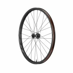 Giant TRX 2 MTB Carbon 29 - Roue Avant