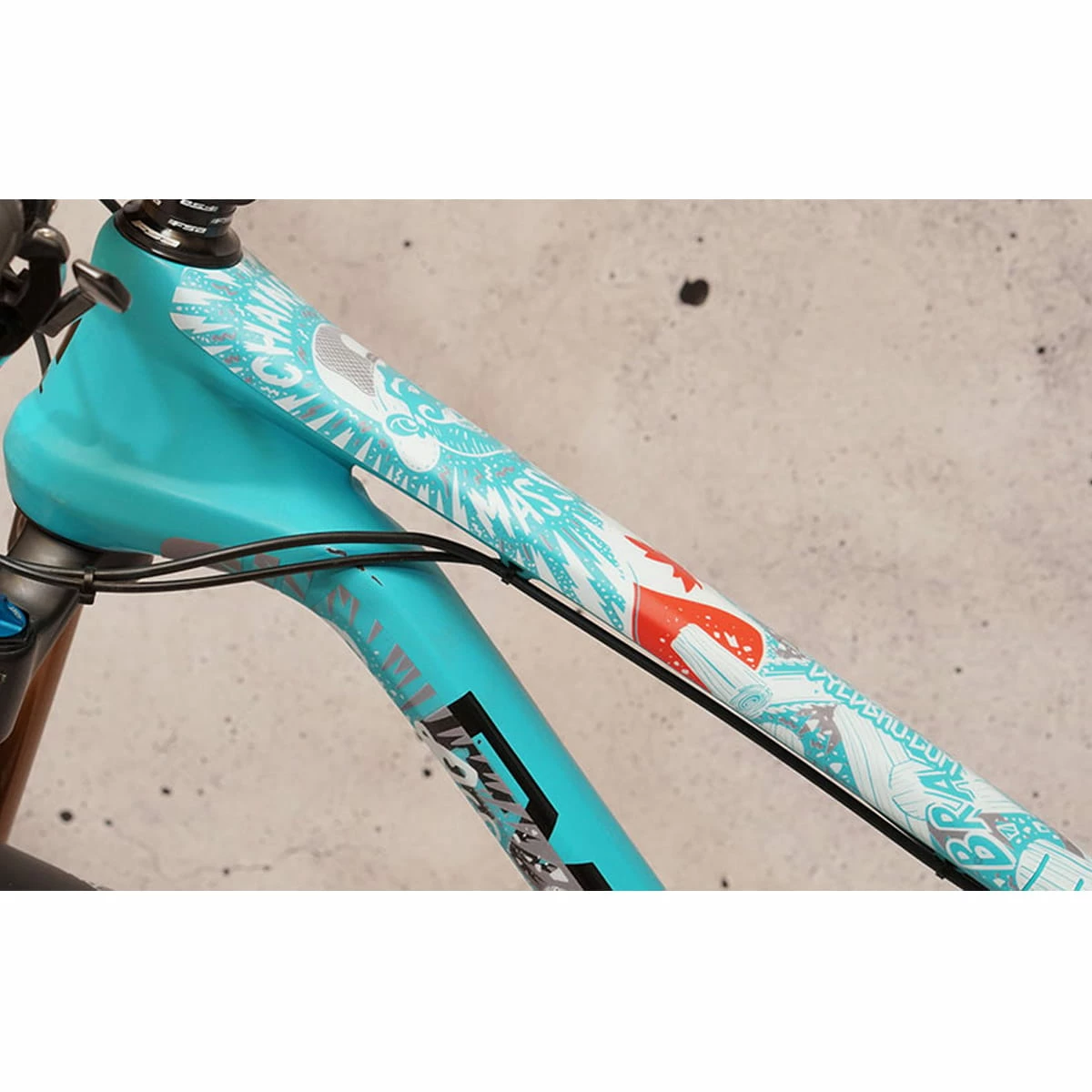 Dyedbro Kit De Protection Du Cadre - Tronçonneuse Blanc Mat 4 Dyedbro Kit De Protection Du Cadre - Tronçonneuse Blanc Mat – Image 2