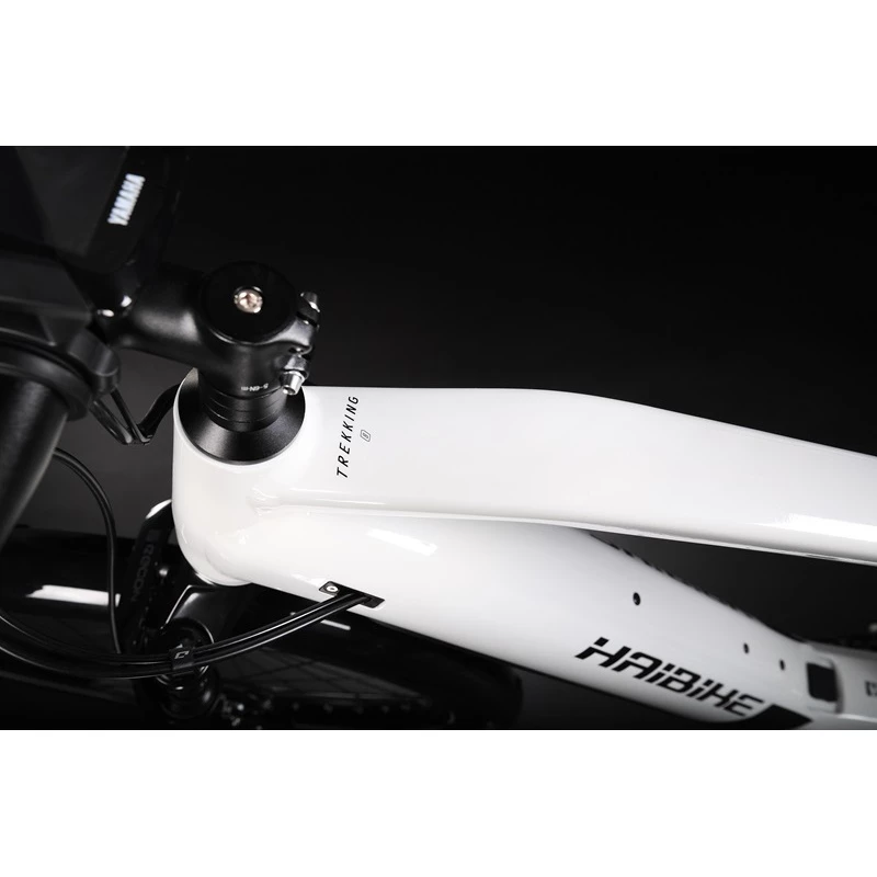 Haibike Trekking 8 Hommes 2022 8 Haibike Trekking 8 Hommes 2022 – Image 6