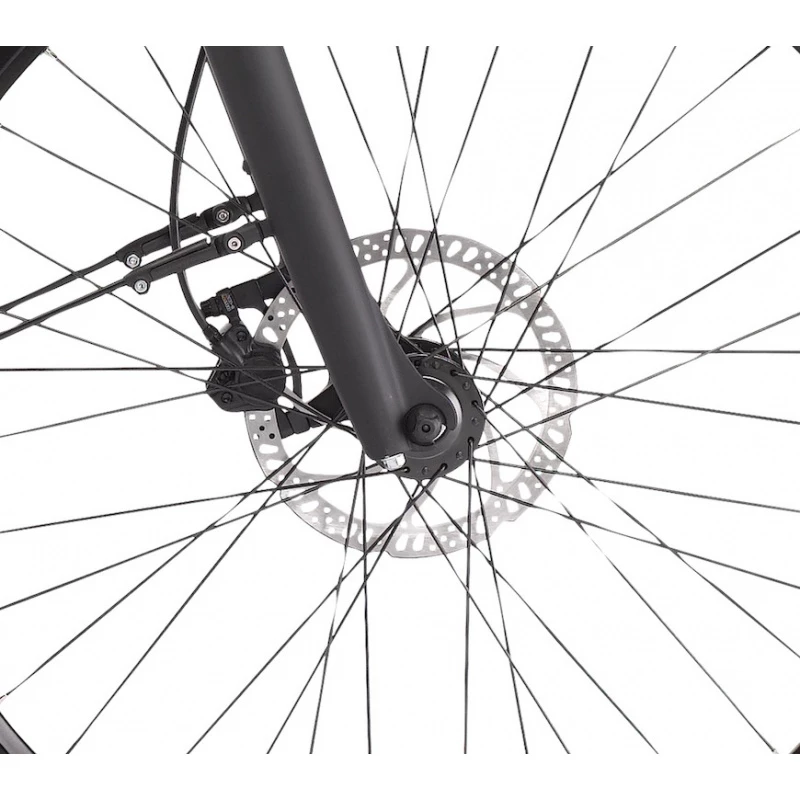 Winora Sinus 9 Ladies 625Wh 2022 6 Winora Sinus 9 Ladies 625Wh 2022 – Image 4